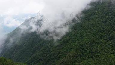 热带雨林前山覆盖雾早....科迪勒拉<strong>吕宋岛岛</strong>菲律宾空中视图